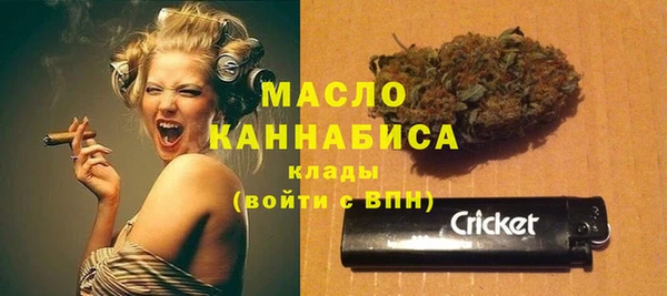 соль ск Краснослободск