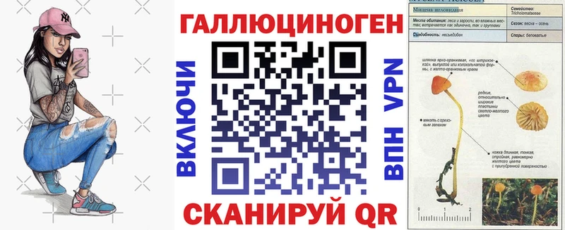 Псилоцибиновые грибы мицелий  наркотики  Бикин 